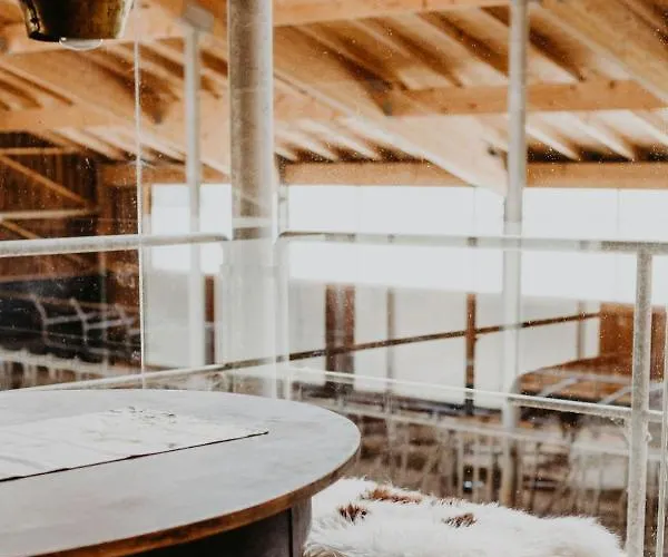 酒店 欣特雷格酒店 3*