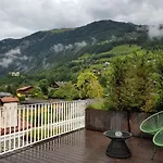 Hinteregger 3*
